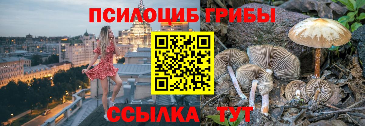 Псилоцибиновые грибы MAGIC MUSHROOMS  Вход с VPN  Галлюциногенные грибы Magic Shrooms  Набережные Челны 